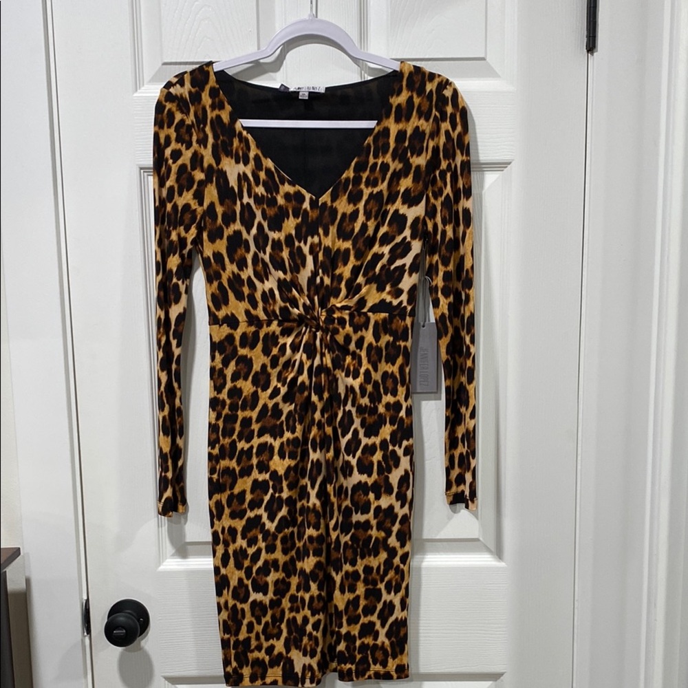 Leopard Print Long Sleeve Dress